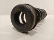 Spiralfeder Rechts Hinten BMW 1 serie (F20) Schrägheck 5-drs 116d 1.5 12V TwinPower (B37-D15A) 2016