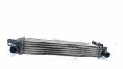 Ladeluftkühler Radiator 51790623 Peugeot Bipper (AA) Van 1.4 HDi (DV4TED(8HS)) 2010-01