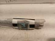 Vorhang Airbag Links 8200635952 Renault Clio III (BR/CR) Schr?gheck 1.2 16V TCe 100 (D4F-784(D4F-H7)) 2011-02