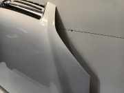 Motorhaube Opel Antara (LA6) SUV 2.2 CDTI 16V 4x2 (Z22D1(Euro 4)) 2012-08