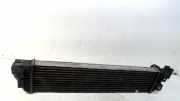 Ladeluftkühler Radiator 144960015R Renault Master III (EV/HV/UV/VA/VB/VD/VF/VG/VJ) Chassis-Cabine 2.3 dCi 110 16V FWD (M9T-704(M9T-C7)) 2018
