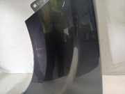 Kotflügel Links Vorne Citroën C-Crosser SUV 2.2 HDiF 16V (DW12METED4(4HN)) 2009