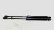 Gasdruckfeder Set Vorne Mercedes-Benz Citan (415.6) Van 1.5 108 CDI (OM607.951) 2017-03