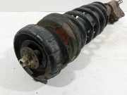 Federbein Links Vorne Nissan Primastar Van 1.9 dCi 80 (F9Q-762) 2004-08