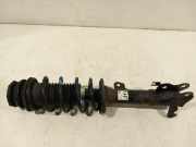 Federbein Rechts Vorne 4160162R60 Suzuki Ignis (MF) Schrägheck 5-drs 1.2 Dual Jet 16V Smart Hybrid (K12C) 2017-04