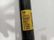 Stoßdämpfer Rechts Hinten 22825519 Opel Ampera Schrägheck 1.4 16V (A14XFL(Euro 5)) 2012