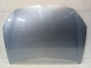 Motorhaube Volkswagen Golf VI (5K1) Schrägheck 1.4 TSI 122 16V (CAXA(Euro 5)) 2009-12 CAXA(Euro 5)