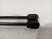 Gasdruckfedern Set Hinten 81830K7010 Hyundai i10 Schrägheck 1.0 12V (G3LD) 2022