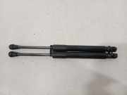 Gasdruckfeder Set Vorne 654704597R Renault Scénic IV (RFAJ) Großraumlimousine 1.3 TCE 16V (H5H-470(H5H-B4)) 2018