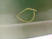 Heckklappe Skoda Citigo Schrägheck 1.0 12V (CHYA) 2012