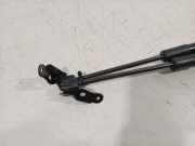 Gasdruckfedern Set Hinten 689600h010 Toyota Aygo X Schrägheck 1.0 12V VVT-i (1KR-FE) 2025-01