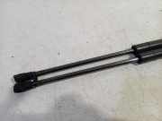 Gasdruckfedern Set Hinten 68069950AA Fiat 500 (312) Schrägheck 1.4 16V (169.A.3000) 2012