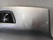 Motorhaube Peugeot Bipper (AA) Van 1.4 HDi (DV4TED(8HS)) 2009