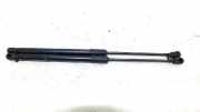 Gasdruckfeder Set Vorne 80A823359A Audi Q5 (FYB/FYG) SUV 2.0 TDI 16V Quattro (DETA) 2017-05