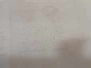 Scheibenwaschbehälter Vorne 289100350R Renault Megane IV (RFBB) Schrägheck 5-drs 1.6 GT Energy TCe 205 EDC (M5M-450(M5M-B4)) 2016