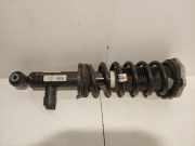 Federbein Rechts Hinten 6898154 BMW iX3 SUV 80 kWh (HA0001N0) 2021-04
