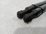 Gasdruckfedern Set Hinten 904502915R Renault Zoé (AG) Schrägheck 5-drs 46kW (5AQ-601) 2013