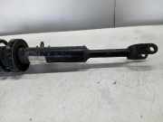 Federbein Rechts Vorne BMW 5 serie (F10) Limousine 525d 24V (N57-D30A) 2010