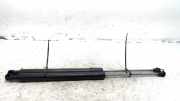 Gasdruckfedern Set Hinten Renault Clio III (BR/CR) Schrägheck 1.5 dCi FAP (K9K-770) 2011