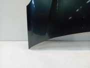 Motorhaube Citroën C3 (SC) Schrägheck 5-drs 1.2 VTi 82 12V (EB2F(HMZ)) 2014