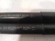 Gasdruckfeder Set Vorne 654707388R Renault Zoé (AG) Schrägheck 5-drs 60kW (5AM B4) 2014