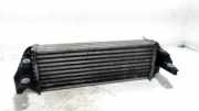 Ladeluftkühler Radiator 7T69L440AE Ford Transit Connect Van 1.8 TDCi 90 (HCPA) 2011-10
