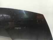 Motorhaube Kia Rio III (UB) Schrägheck 1.2 CVVT 16V (G4LA5) 2011-10