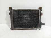 Radiator Rover Mini Limousine 1300 Cooper,Cooper S (12A2LK70) 2000