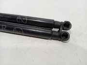 Gasdruckfedern Set Hinten 6896002120 Toyota Auris (E18) Schrägheck 5-drs 1.8 16V Hybrid (2ZRFXE) 2014