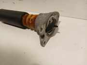 Stoßdämpfer Links Hinten 6877076 BMW 1 serie (F40) Schrägheck 120i 2.0 TwinPower 16V (B48-A20A) 2022