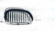 Grill Gitter Rechts BMW 5 serie (E60) Limousine 520d 16V Corporate Lease (M47-D20(204D4)) 2006-09
