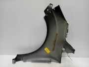 Kotflügel Rechts Vorne Ford Grand C-Max (DXA) Großraumlimousine 1.6 EcoBoost 16V (JQDA(Euro 5)) 2011-07