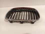 Grill Gitter Links 51137166439 BMW 1 serie (E81) Schrägheck 3-drs 116i 2.0 16V (N43-B20A) 2009