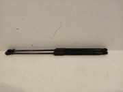 Gasdruckfeder Set Vorne 654702264R Renault Kangoo Express (RFK) Van 1.5 Blue dCi 115 (K9K-876(K9K-U8)) 2024-11