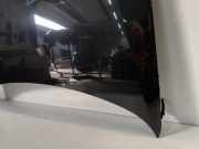 Motorhaube Volkswagen Polo V (6R) Schr?gheck 1.6 TDI 16V 105 (CAYC(Euro 5)) 2012-10 CAYC(Euro 5)