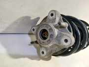 Federbein Rechts Vorne 22330898 BMW 3 serie (G20) Limousine 320e 2.0 TwinPower Turbo 16V (B48-B20A) 2022-07