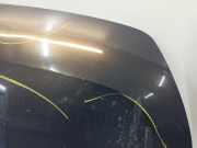 Motorhaube Renault Master III (FV) Van 2.3 dCi 145 16V FWD (M9T-680) 2011-09