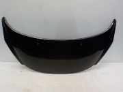 Motorhaube Peugeot 207 SW (WE/WU) Kombi 1.6 HDi (DV6DTED(9HP)) 2012-02