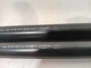 Gasdruckfedern Set Hinten 904502915R Renault Zoé (AG) Schrägheck 5-drs 60kW (5AM B4) 2014