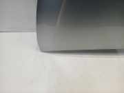 Motorhaube Citroën C4 Picasso (3D/3E) Großraumlimousine 1.6 BlueHDI 120 (DV6FC(BHZ)) 2016