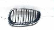 Grill Gitter Rechts BMW 5 serie Touring (E61) Kombi 525d 24V (M57-D25(256D2)) 2004-05