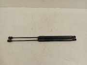 Gasdruckfedern Set Hinten 8U0827552A Audi Q3 (8UB/8UG) SUV 2.0 16V TFSI 170 Quattro (CCZC(Euro 5)) 2013