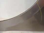 Kotflügel Links Vorne Skoda Superb (3TAA) Schrägheck 1.9 TDI (BLS) 2009