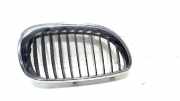 Grill Gitter Rechts 51137065702 BMW 5 serie Touring (E61) Kombi 530d 24V (M57N-D30(306D2)) 2004-04