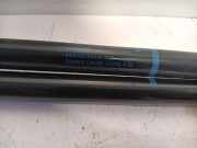 Gasdruckfedern Set Hinten 4G9827552B Audi A6 Avant (C7) Kombi 3.0 TDI V6 24V Quattro (CRTE(Euro 6)) 2019