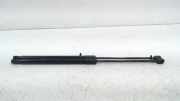 Gasdruckfedern Set Hinten H1BBA406A10AE Ford Fiesta 7 Schrägheck 1.5 TDCi 85 (XUJF) 2017