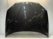 Motorhaube BMW X1 (E84) SUV sDrive 18d 2.0 16V (N47-D20C) 2011