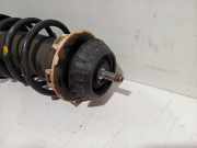 Federbein Rechts Vorne 51610tf2g050 Honda Jazz (GE6/GE8/GG/GP) Schrägheck 1.3 VTEC 16V Hybrid (LDA3(Euro 5)) 2012