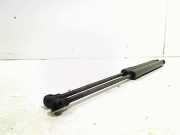 Gasdruckfedern Set Hinten 9683733980 Citroën C3 (SC) Schrägheck 5-drs 1.6 HDi 92 (DV6DTED(9HP)) 2011-12