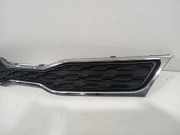 Grill 863511W210 Kia Rio III (UB) Schrägheck 1.2 CVVT 16V (G4LA5) 2013-01